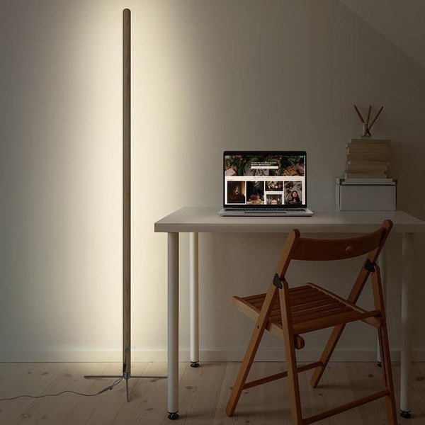 Briscoe Ambient Floor Lamp